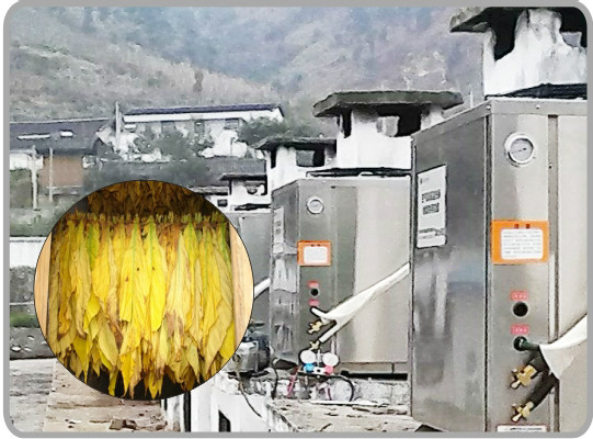四川烟叶烘干