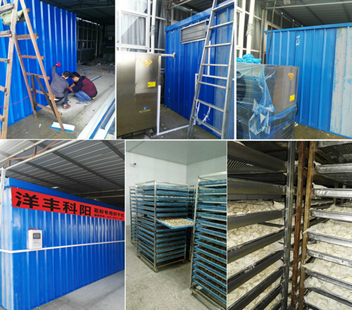 随州二月风葛粉烘干