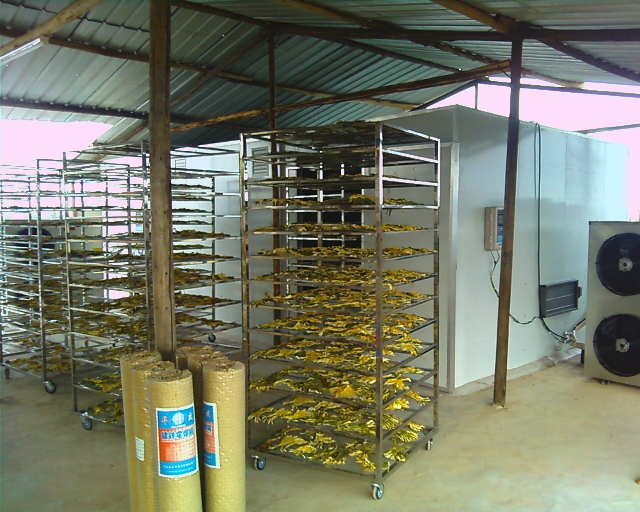 广西火龙果花烘干